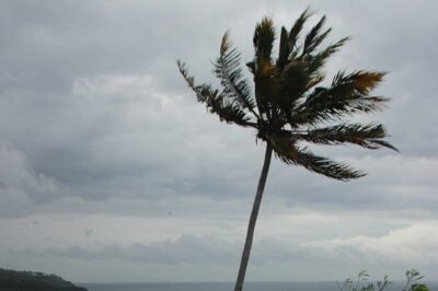 Marinha do Brasil alerta para ventos de até 100 km/h e ressaca em São Sebastião entre quarta e sexta-feira