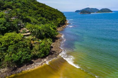 Speedo comemora 45 anos com desafio de natação em Barra do Sahy no domingo