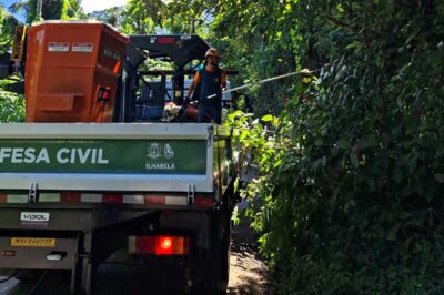 Defesa Civil de Ilhabela realiza podas preventivas para garantir segurança da população