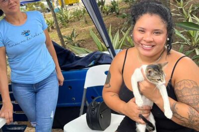 Sete animais expostos em feiras de adoção promovidas pelo CCZ de São Sebastião ganham um lar