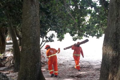 Prefeitura de São Sebastião executa ação de limpeza na Praia de Guaecá