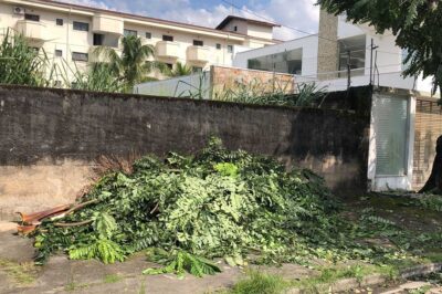 Prefeitura de Caraguatatuba autua empresa EDP por descarte irregular de poda em via pública