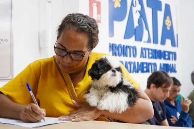 Pronto Atendimento e Tratamento Animal de São Sebastião realiza 50 castrações durante mutirão