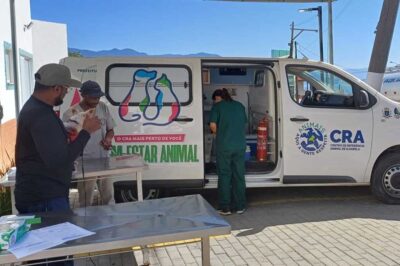 Programa Bem-Estar Animal Ilhabela atenderá gratuitamente no bairro do Reino nesta quarta (14)